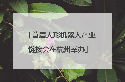 首届人形机器人产业链接会在杭州举办